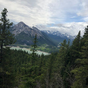 Meet your Posher, Aayush